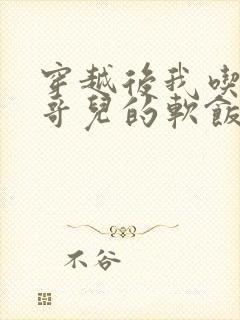 穿越后我吃到了哥儿的软饭炉山灰