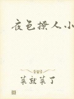夜色撩人小说