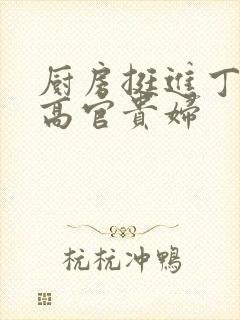 厨房挺进丁字裤高官贵妇