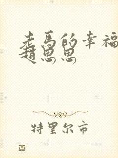 老马的幸福生活赵思思