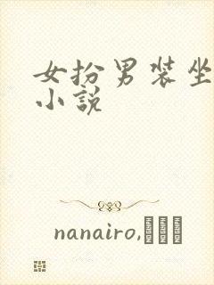 女扮男装坐江山小说