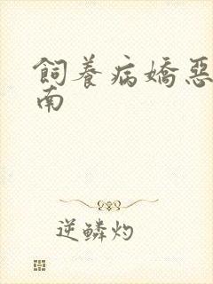 饲养病娇恶龙指南