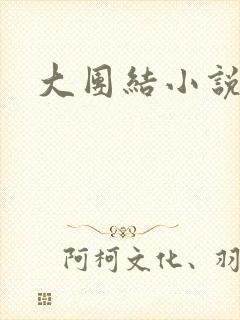 大团结小说全文