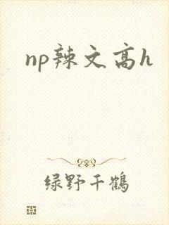 np辣文高h