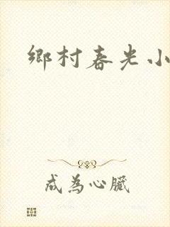 乡村春光小说