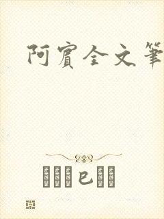 阿宾全文笔趣阁