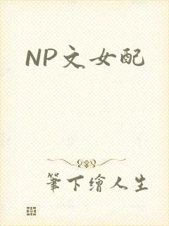 NP文女配