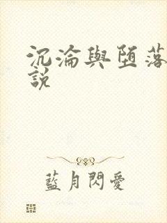 沉沦与堕落的小说