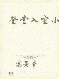 登堂入室小说