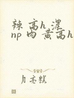 辣 高h 浓 np 肉 黄高h