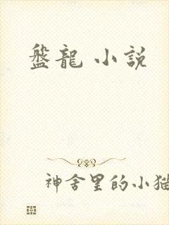 盘龙 小说