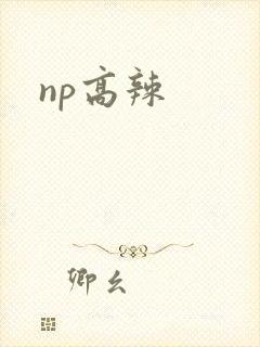 np高辣