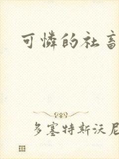 可怜的社畜小说