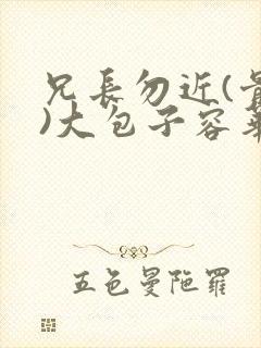 兄长勿近(骨科)大包子容华