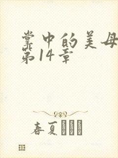 掌中的美母版主第14章