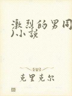 激烈的男同(h)小说