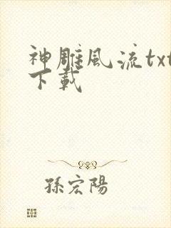 神雕风流txt下载