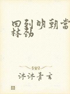 回到明朝当王爷林劲