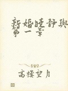 新婚晓静与翁公笫一章