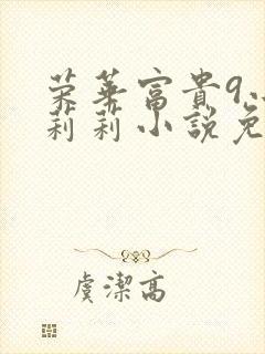 荣华富贵9小王莉莉小说免费阅读