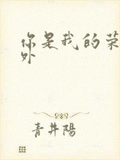 你是我的荣耀番外