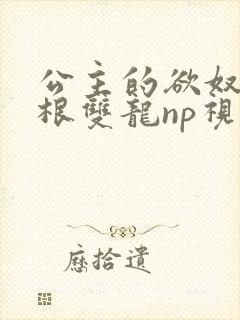 公主的欲奴h四根双龙np视频