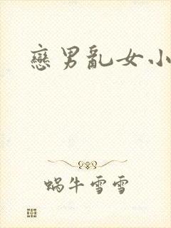 恋男乱女小说