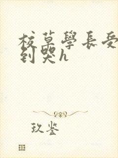 校草学长受被做到哭h