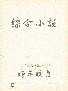 综合小说