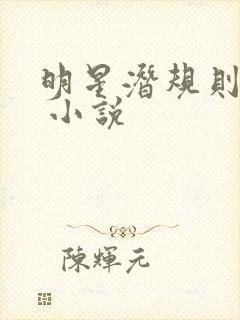 明星潜规则之皇 小说