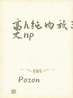 高h纯肉放荡h文np