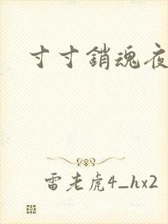 寸寸销魂夜春光