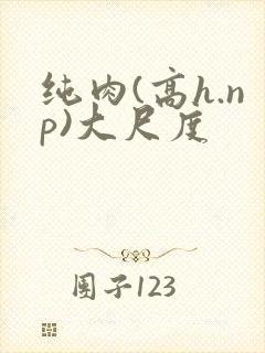 纯肉(高h.np)大尺度