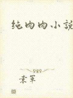纯肉肉小说