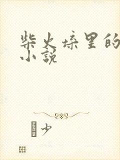 柴火垛里的疯狂小说