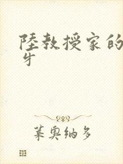 陆教授家的小月牙