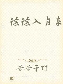 徐徐入月来