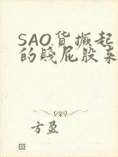 SAO货撅起你的贱屁股来