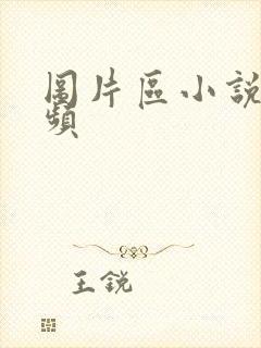 图片区小说区视频