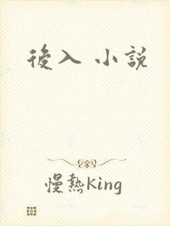 后入 小说