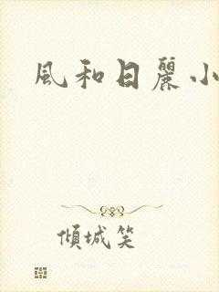 风和日丽小说
