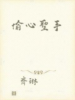 偷心圣手