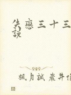失恋三十三天小说