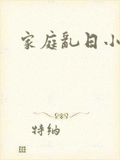 家庭乱日小说