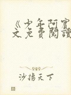 《少年阿宾》全文免费阅读