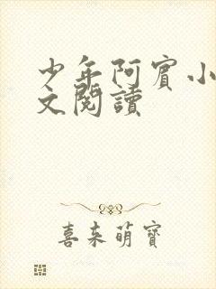 少年阿宾小说全文阅读