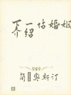 下一站婚姻剧情介绍