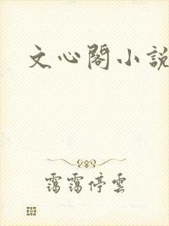 文心阁小说