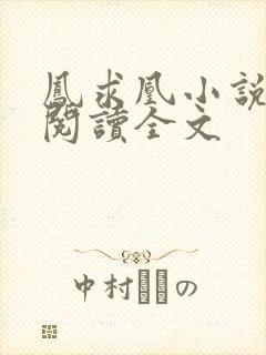 凤求凰小说免费阅读全文