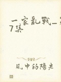 一家乱战_第07集